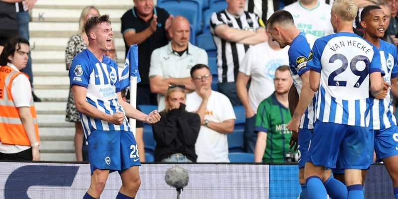 Brighton & Hove Albion vs Newcastle United
